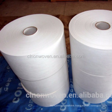 PLA spunbond non woven biodegradable fabric ( CL0106)